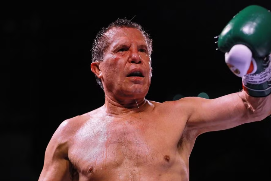 julio cesar chavez net worth