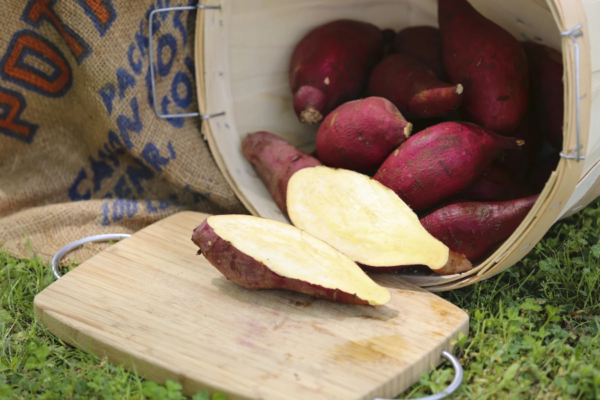 murasaki sweet potato